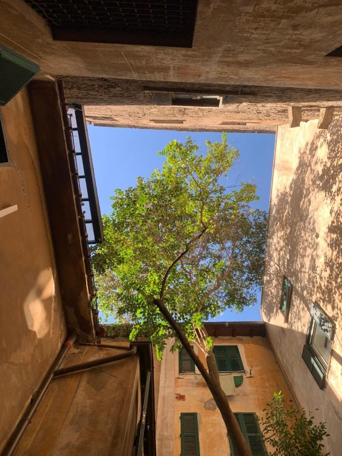Navona Apartment Rom Exterior foto